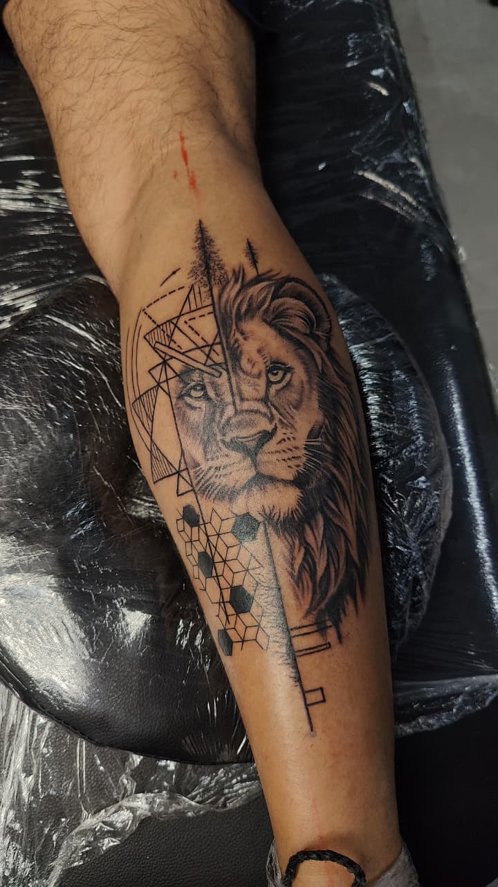 Geometric Lion